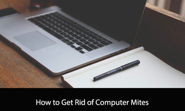How to Get Rid of Computer Mites