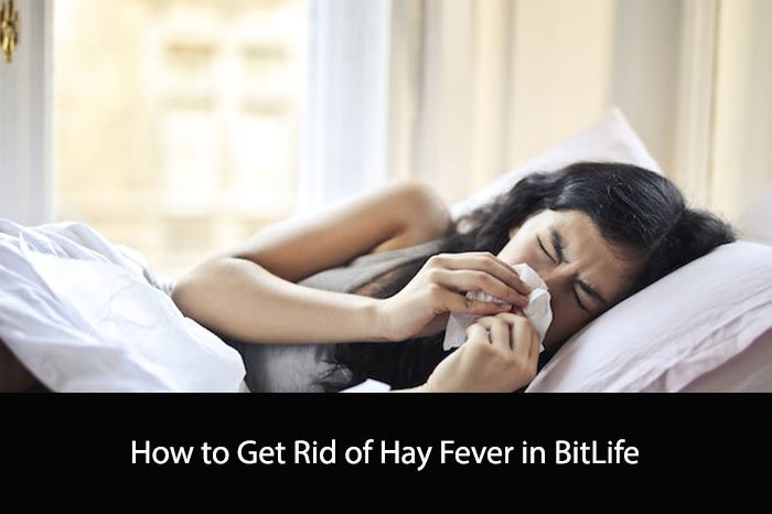 How to Get Rid of Hay Fever in BitLife