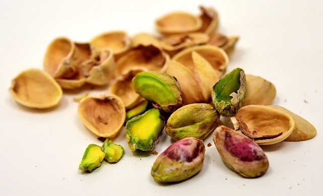 Can Frenchies Eat Pistachios