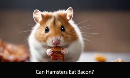 Can Hamsters Eat Bacon?