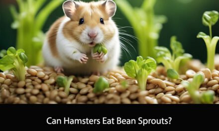 Can Hamsters Eat Bean Sprouts?