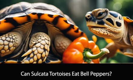 Can Sulcata Tortoises Eat Bell Peppers?