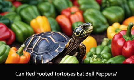 Can Red Footed Tortoises Eat Bell Peppers?