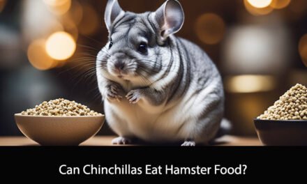 Can Chinchillas Eat Hamster Food?