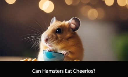 Can Hamsters Eat Cheerios?
