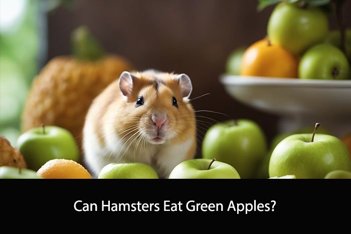 Can Hamsters Eat Green Apples?