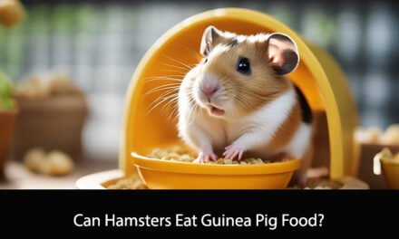 Can Hamsters Eat Guinea Pig Food?