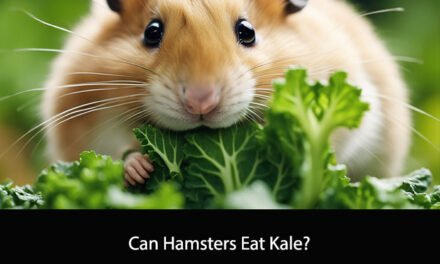 Can Hamsters Eat Kale?