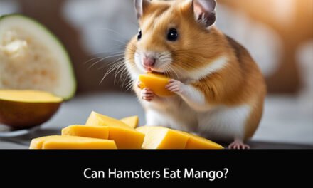 Can Hamsters Eat Mango?