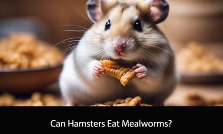 Can Hamsters Eat Mealworms?