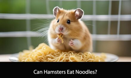 Can Hamsters Eat Noodles?