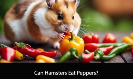 Can Hamsters Eat Peppers?