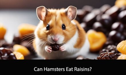 Can Hamsters Eat Raisins?