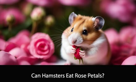 Can Hamsters Eat Rose Petals?