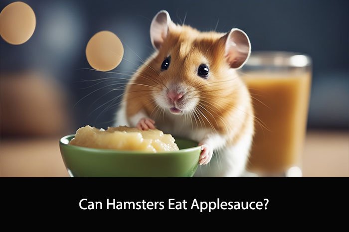 Can Hamsters Eat Applesauce?