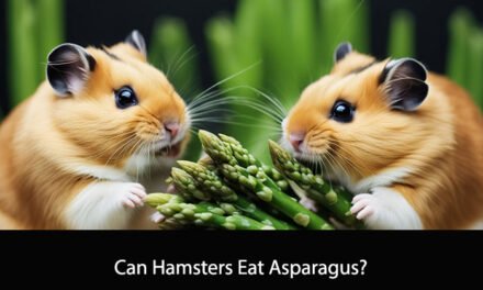Can Hamsters Eat Asparagus?