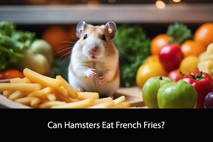 Can Hamsters Eat French Fries?