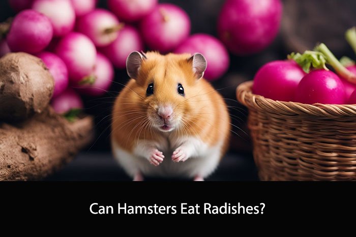 Can Hamsters Eat Radishes?