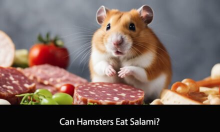 Can Hamsters Eat Salami?