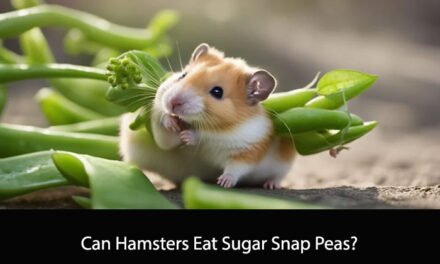 Can Hamsters Eat Sugar Snap Peas?