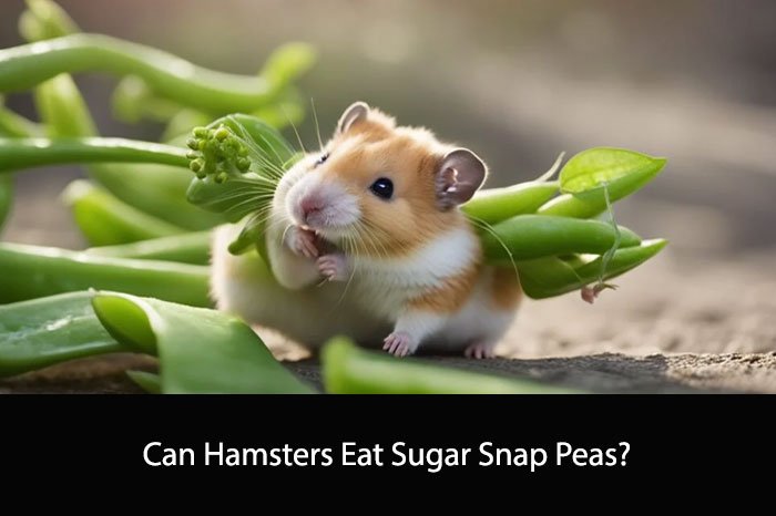 Can Hamsters Eat Sugar Snap Peas?