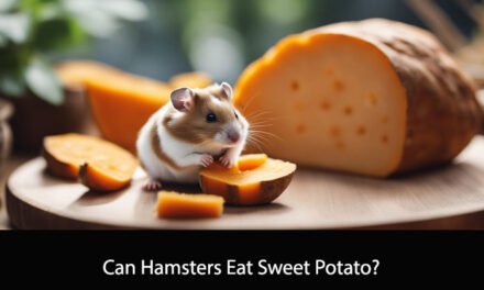 Can Hamsters Eat Sweet Potato?
