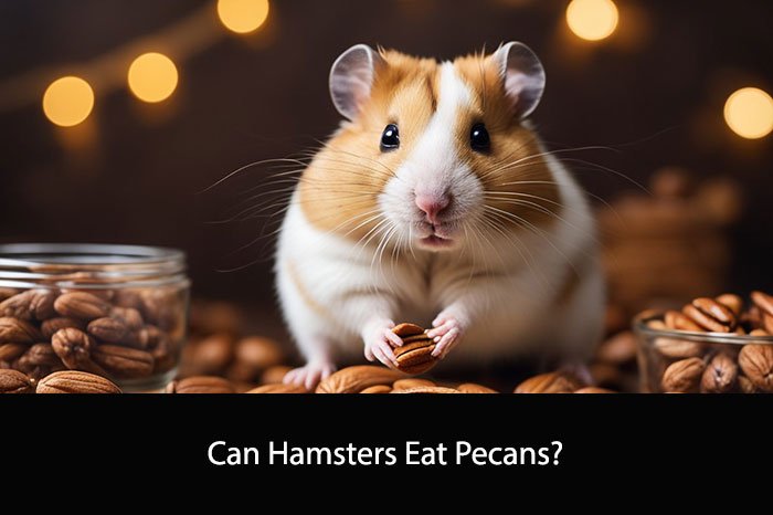 Can Hamsters Eat Pecans?