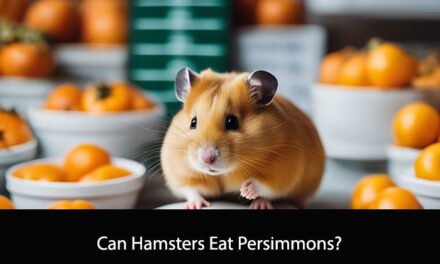 Can Hamsters Eat Persimmons?