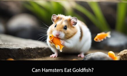 Can Hamsters Eat Goldfish?