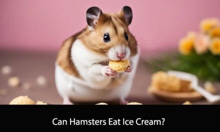 Can Hamsters Eat Ice Cream?