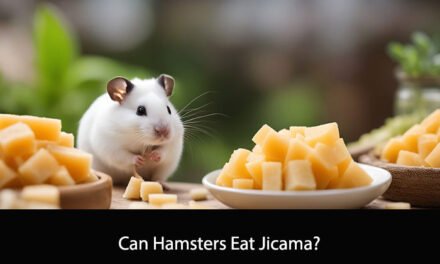 Can Hamsters Eat Jicama?