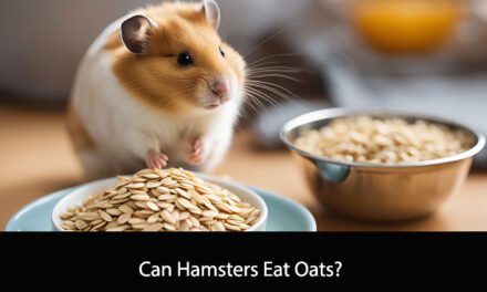 Can Hamsters Eat Oats?