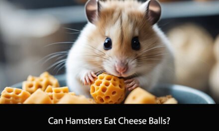 Can Hamsters Eat Cheese Balls?