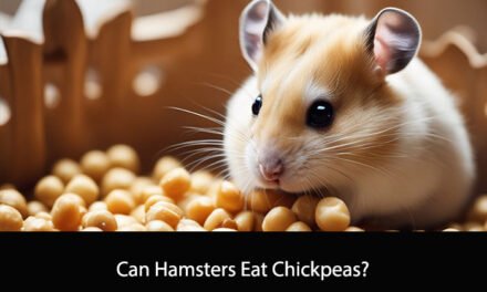 Can Hamsters Eat Chickpeas?