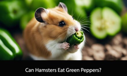 Can Hamsters Eat Green Peppers?