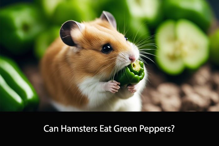 Can Hamsters Eat Green Peppers?