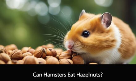 Can Hamsters Eat Hazelnuts?