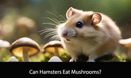 Can Hamsters Eat Mushrooms?