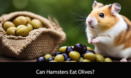 Can Hamsters Eat Olives?