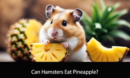 Can Hamsters Eat Pineapple?