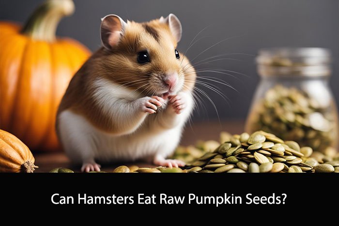 Can Hamsters Eat Raw Pumpkin Seeds?