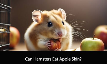 Can Hamsters Eat Apple Skin?