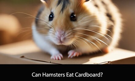 Can Hamsters Eat Cardboard?