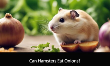Can Hamsters Eat Onions?