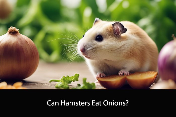 Can Hamsters Eat Onions?