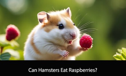 Can Hamsters Eat Raspberries?